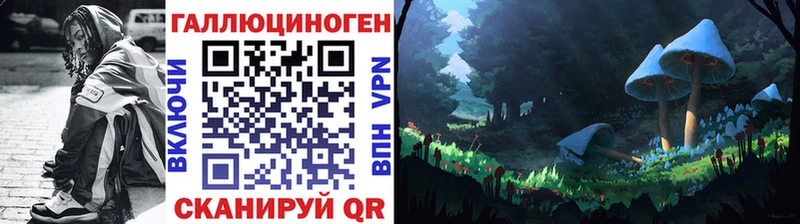 Псилоцибиновые грибы Cubensis Покровск